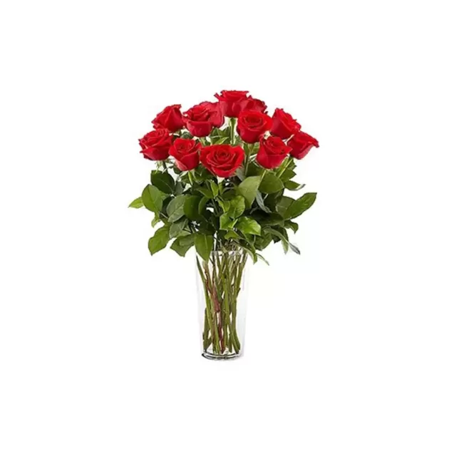 anniversary-red-rose-3