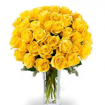 congatulation-yellower-flower