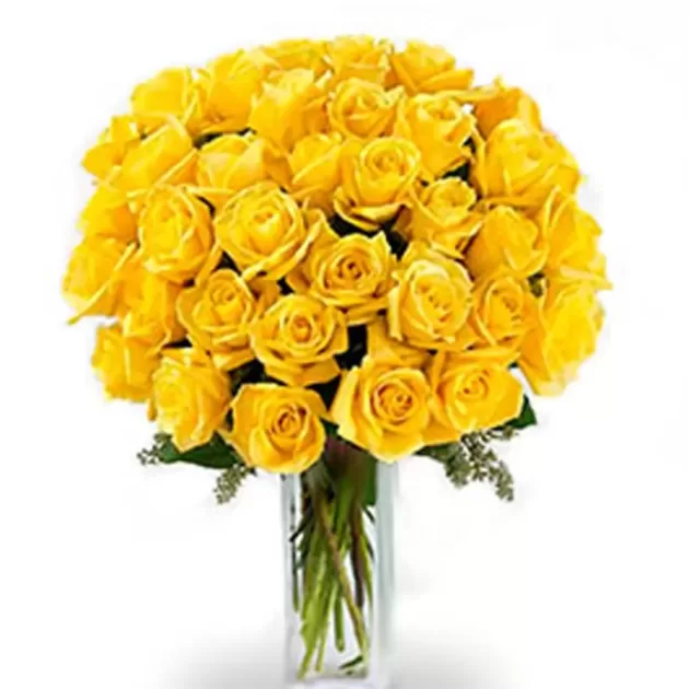 congatulation-yellower-flower