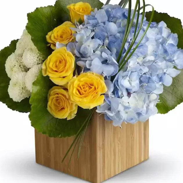 congratulation--yellow-white-colour-flower