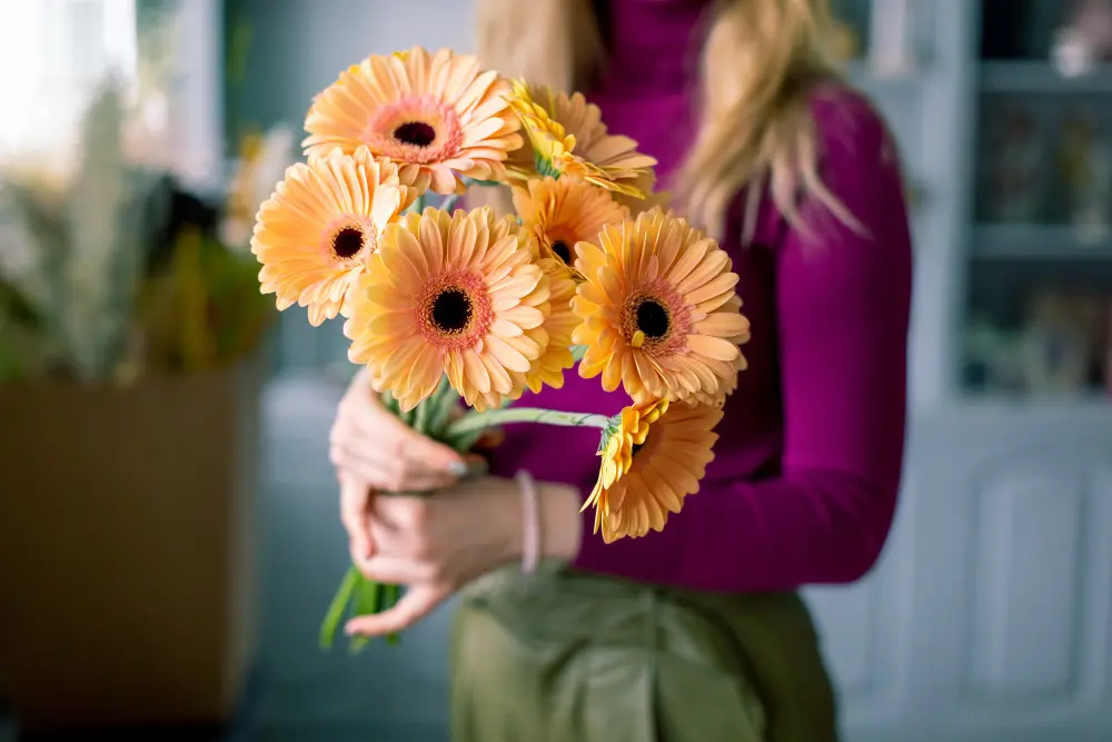 Gerbera Symbol of Cheerfulness and Purity