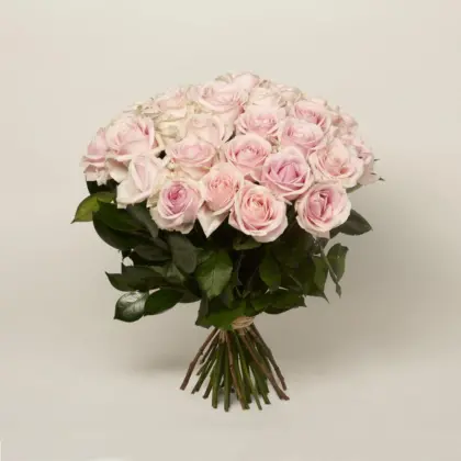 AC LS BOUQUET DE ROSE oxl5ve7agabvkeszxtq6d8vx4nclvqf1h69o7t7ok0