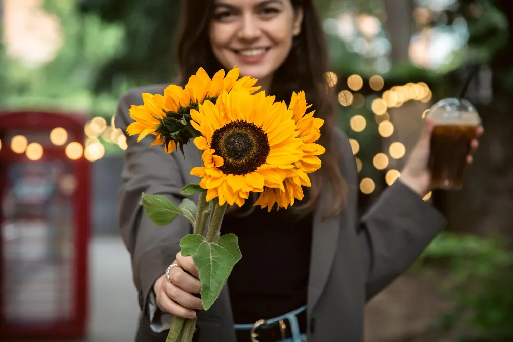 Sunflowers